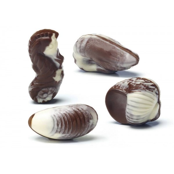 Ballotin defruits de mer en chocolat sans sucre pour diabétiques 170g  B